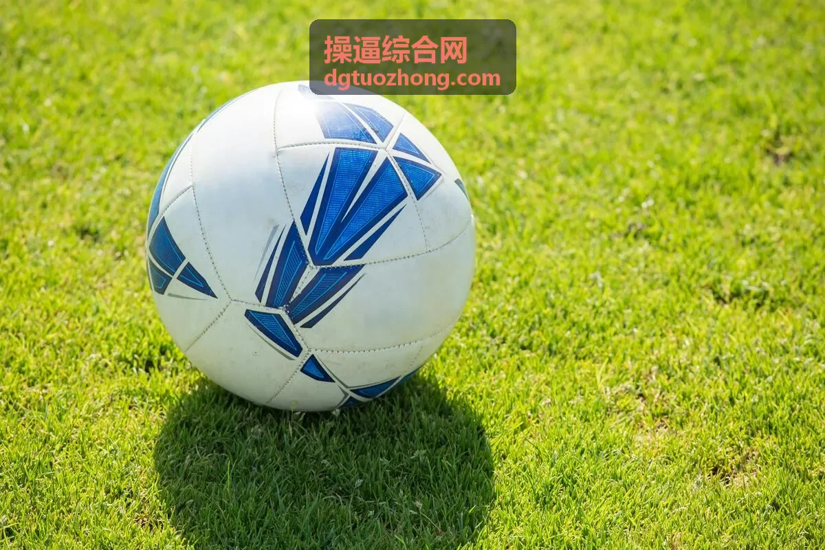 操逼综合网专题合集背景图