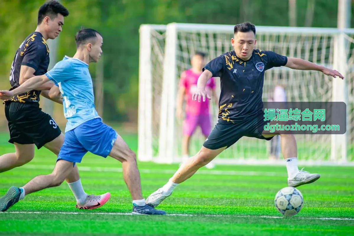 操逼综合网最新更新封面