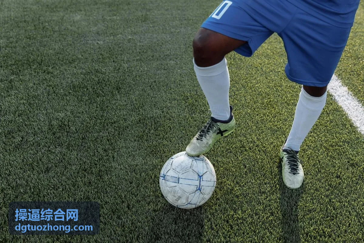 操逼综合网专题合集图